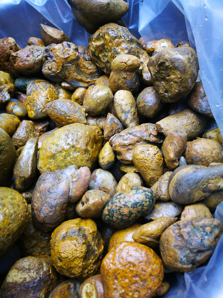 *奇石蒙天珠九眼石页岩原石鱼缸花盆造景石