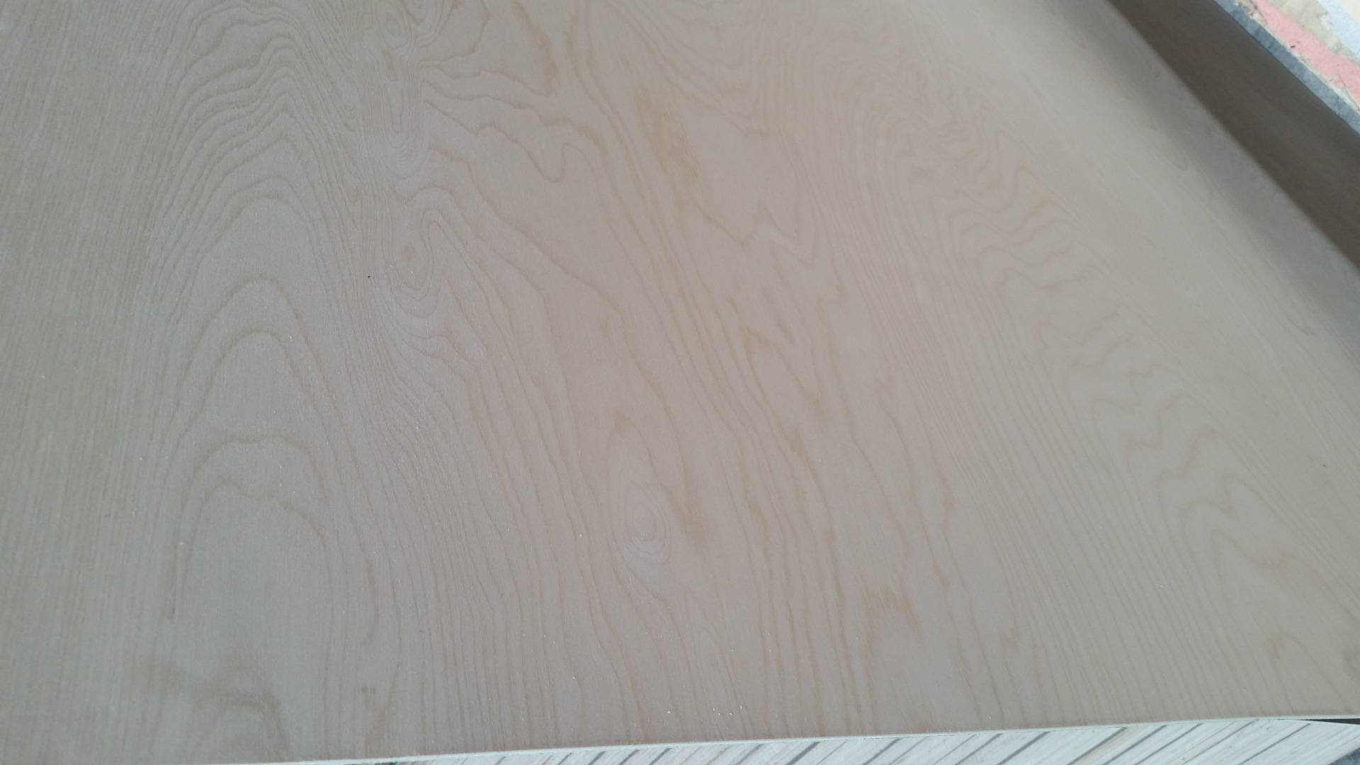 桦木多层板进口桦木夹板海洋板船用胶合板海洋多层板桦木胶合板