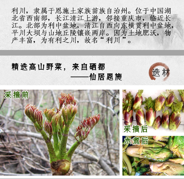 刺老苞刺嫩芽树头菜刺苞菜老虎刺山野菜山珍