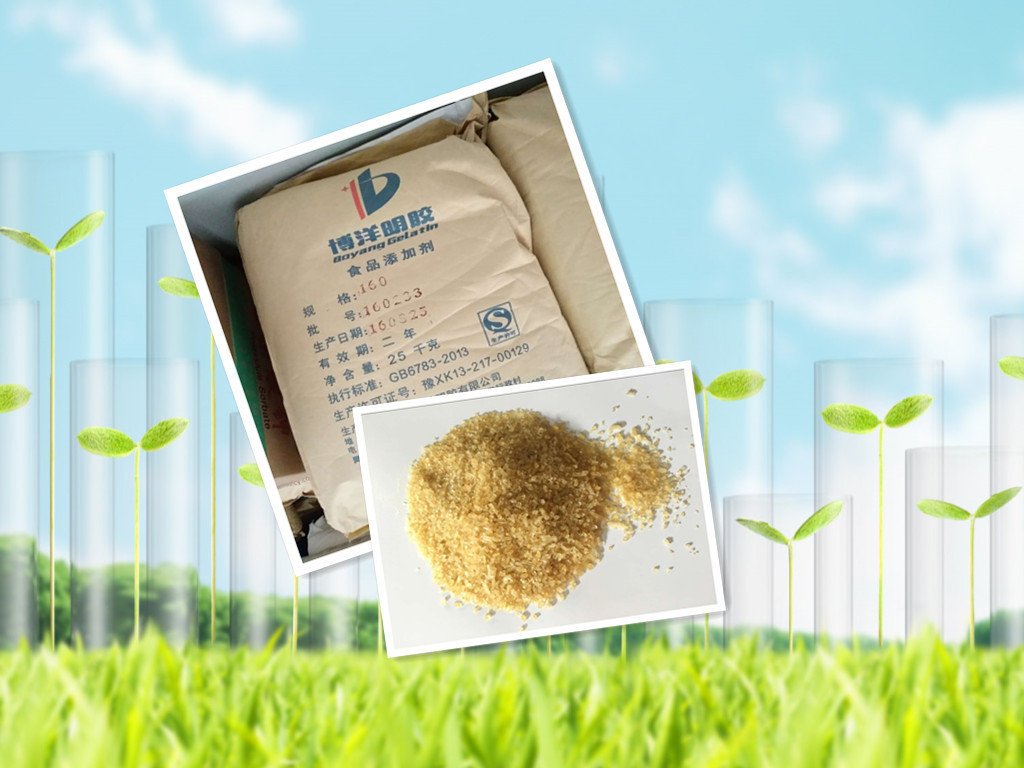 批发供应食用明胶 胶凝剂 博洋明胶 180冻力