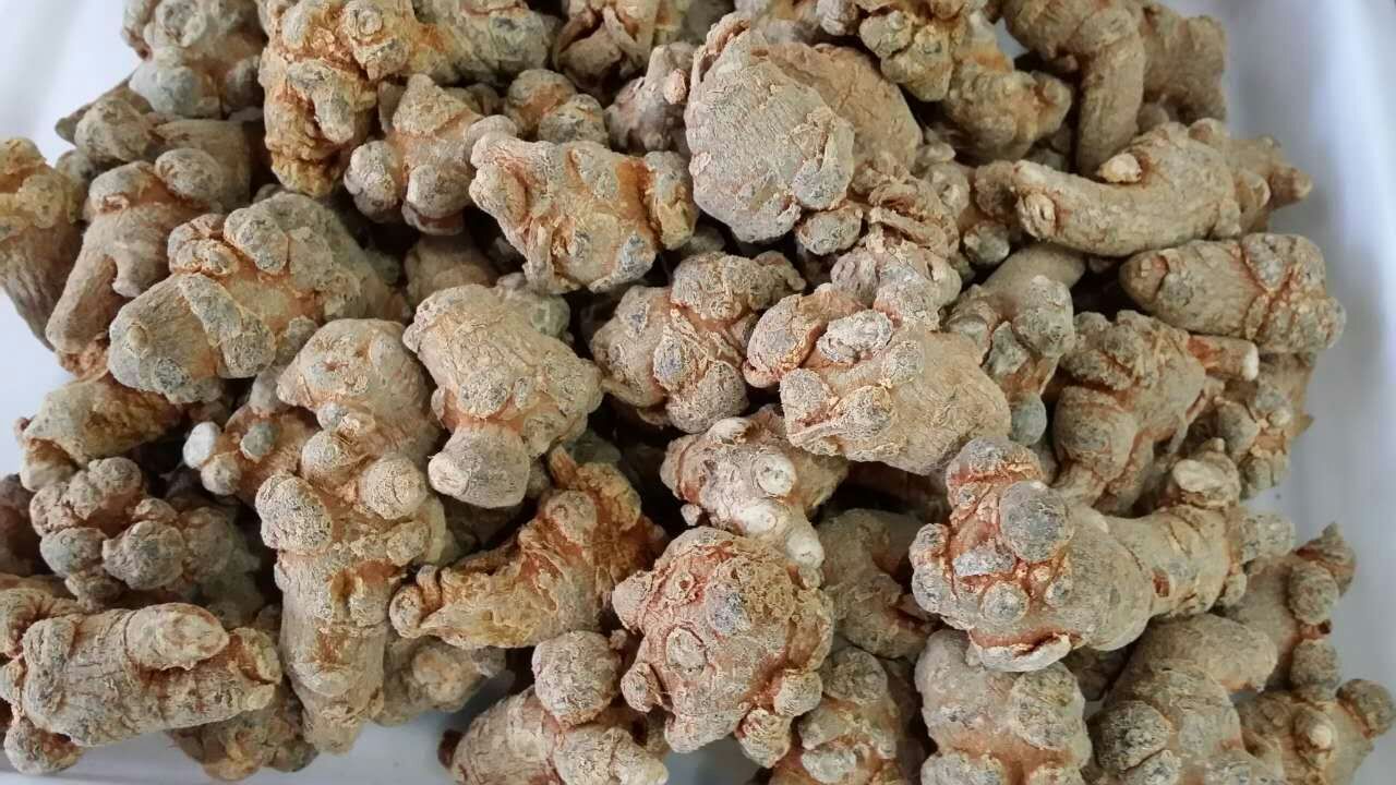 云南文山三七正宗特级春三七水洗滑头田七可代磨超细粉批发