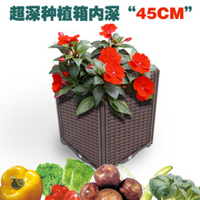 种植箱 自由组合花盆菜盆 阳台种植花箱 育苗花箱 绿化工程种植箱