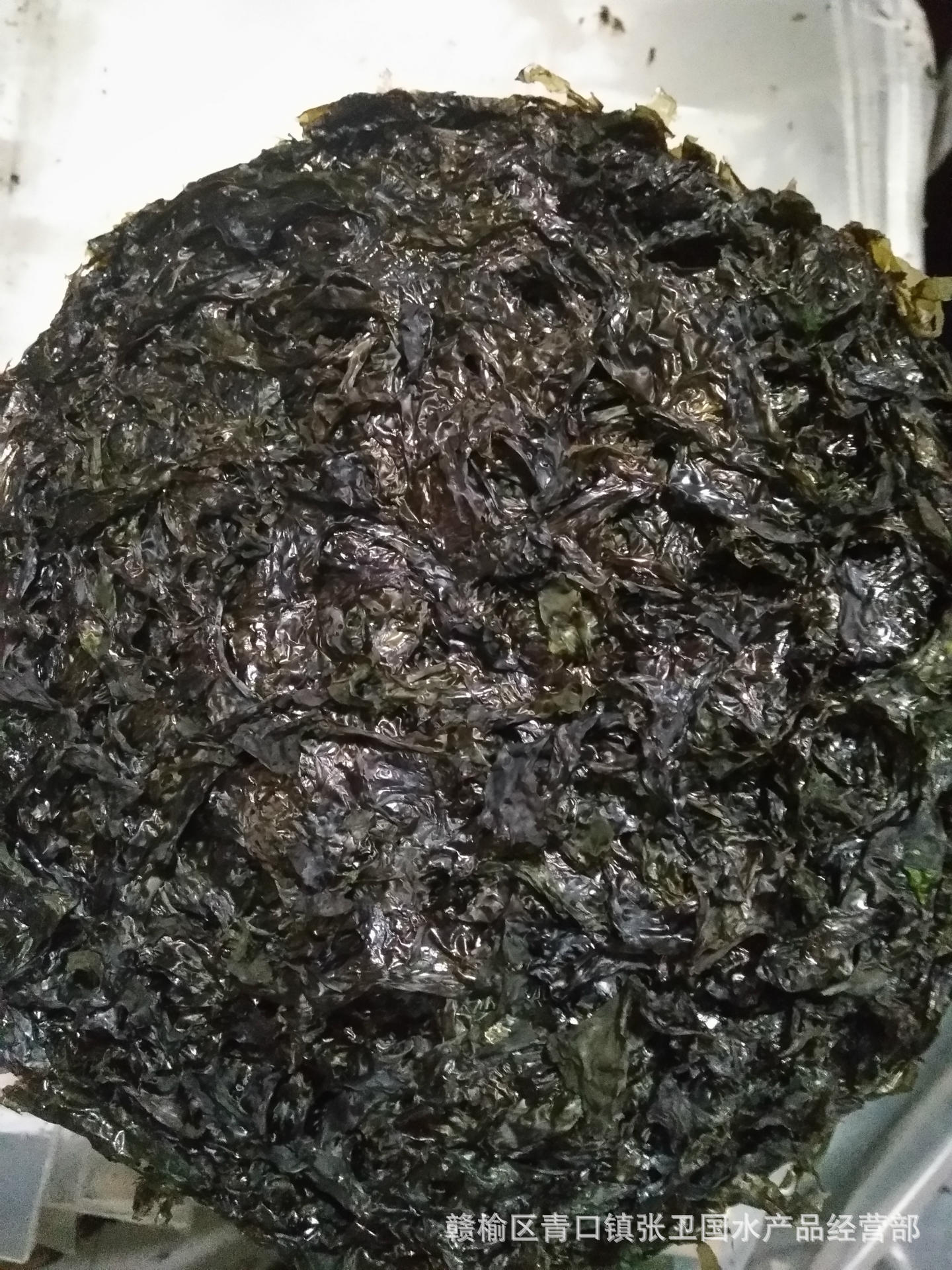 海鲜特产新货野生紫菜 散装紫菜 头水紫菜 无沙紫菜250克批发