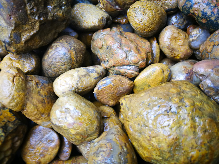 *奇石蒙天珠九眼石页岩原石鱼缸花盆造景石