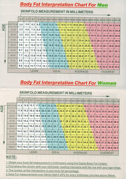 数显脂肪测量尺 电子脂肪卡尺脂肪夹 便携皮脂钳 脂肪厚度计