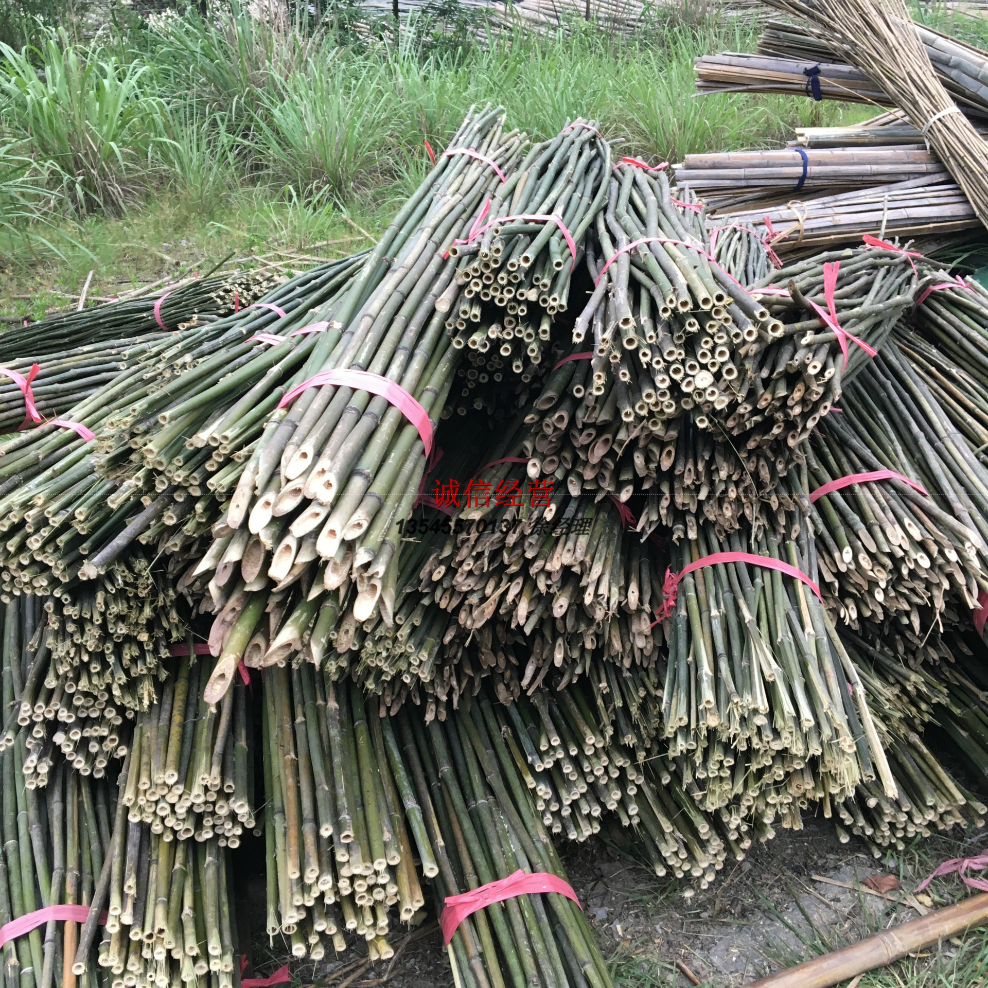 厂家供应农用菜架竹 竹菜架 小竹竿 竹梢 蔬菜支撑 园林大棚