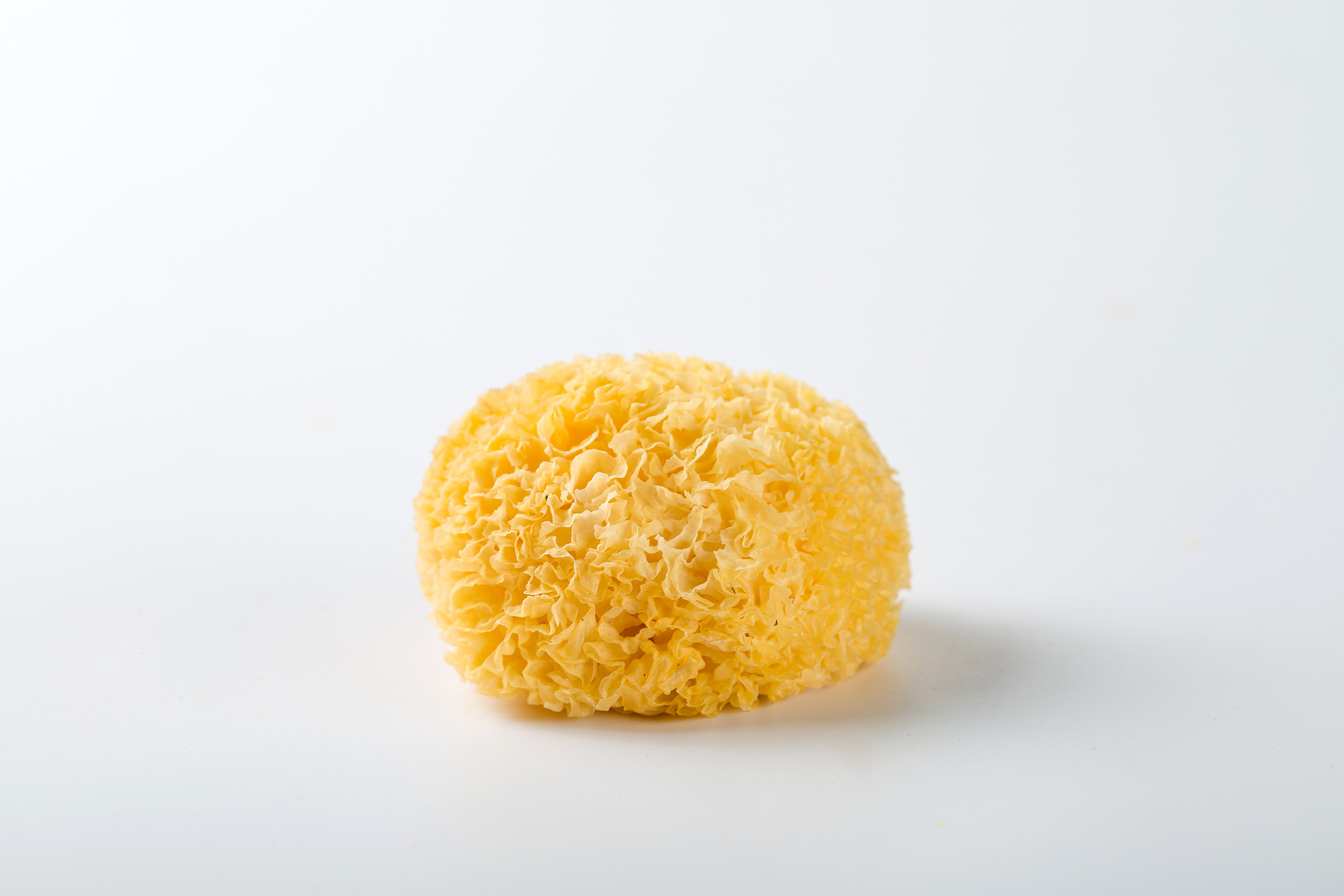 古田特产丑耳干货一手货源 无硫糯耳散装批发产地直销包邮