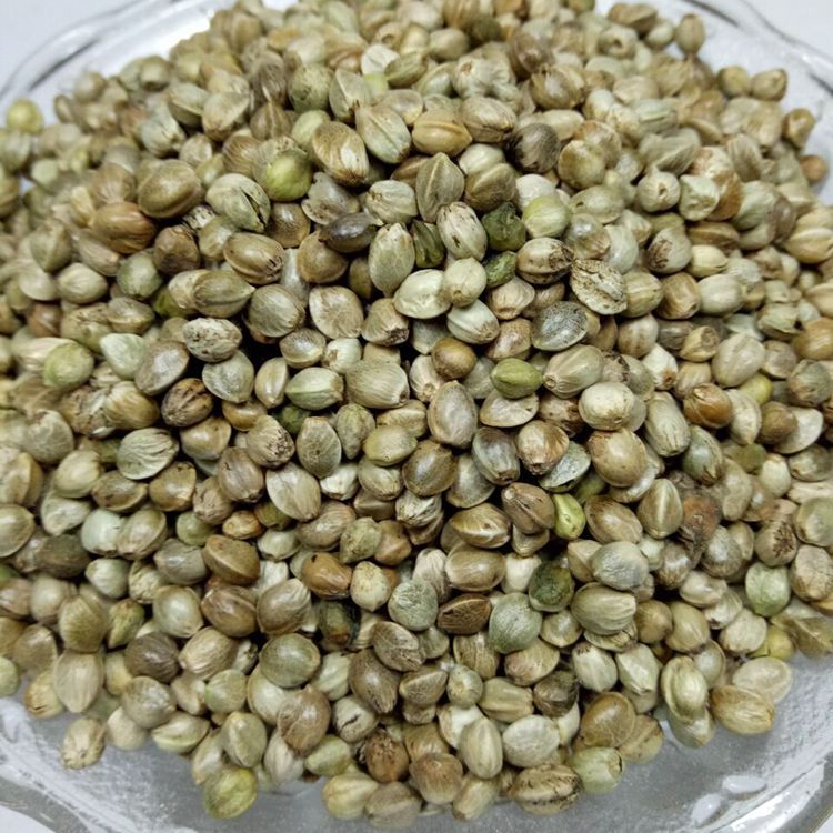 批发中药材 火麻仁 量大从优 火麻仁 麻仁子 包邮中