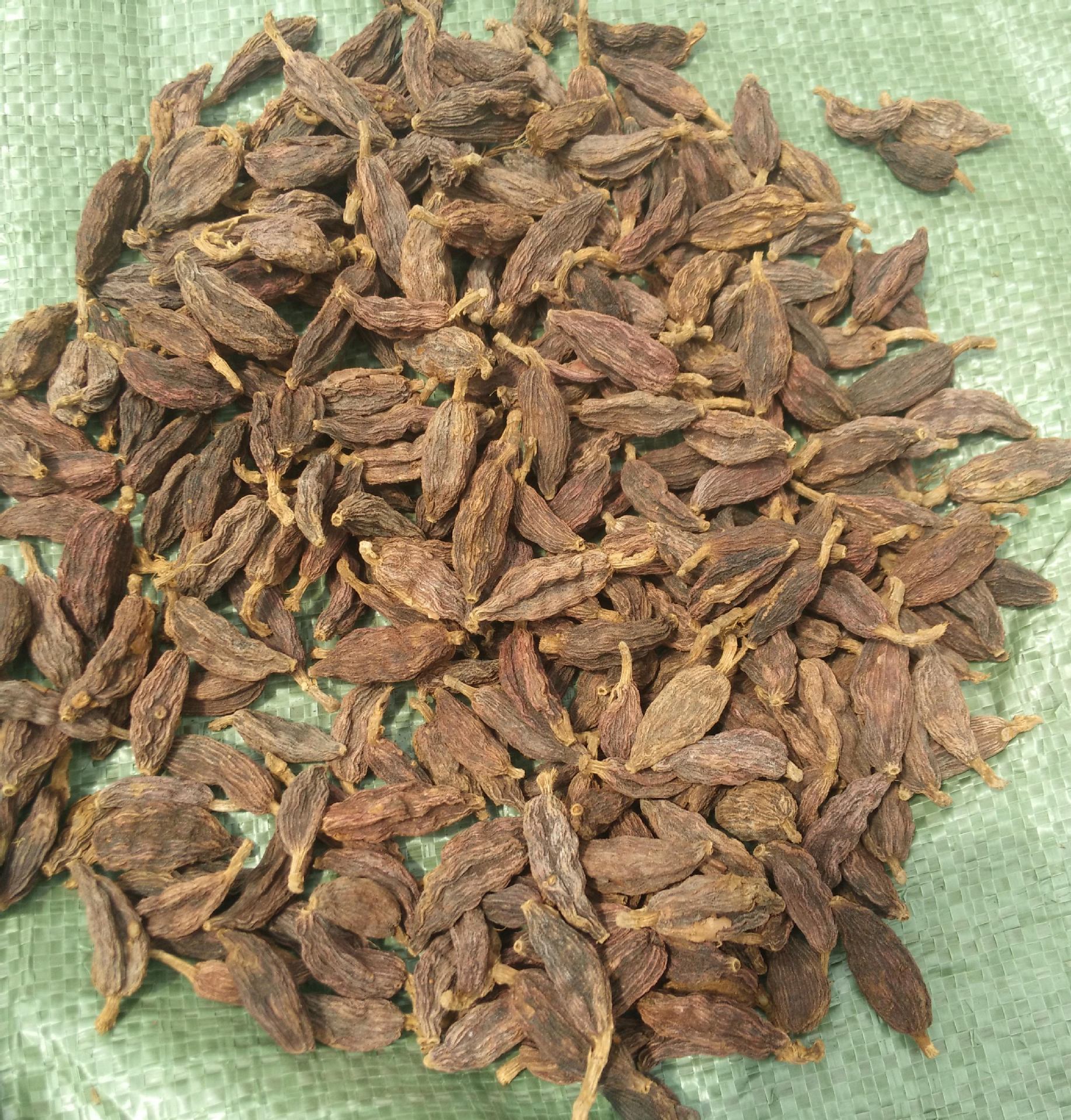 大草果替代品野草果 小草果 山草果 洋合果 洋火果 洋草果