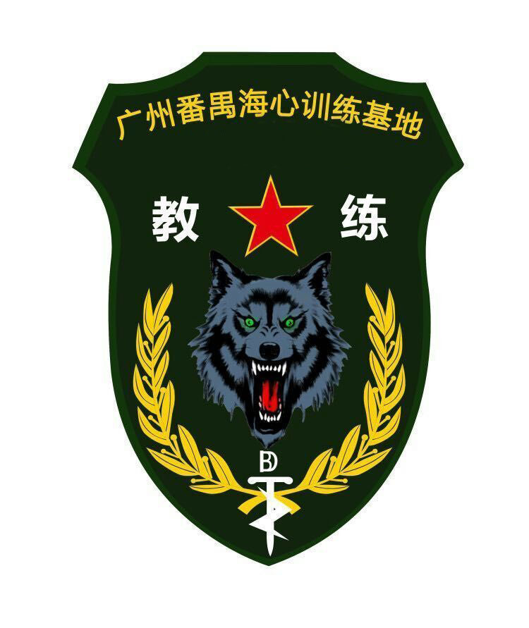 教官臂章国旗护卫队臂章定做安全员臂章魔术贴领花定做