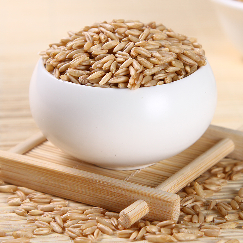 燕麦米 燕麦仁 裸燕麦粒 五谷杂粮粗粮 厂家批发