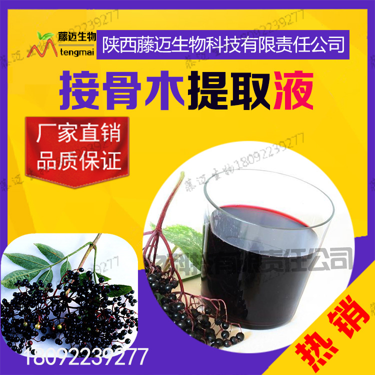 接骨木提取液 藤迈直销 接骨木萃取液 化妆品diy手工皂原料 1kg起