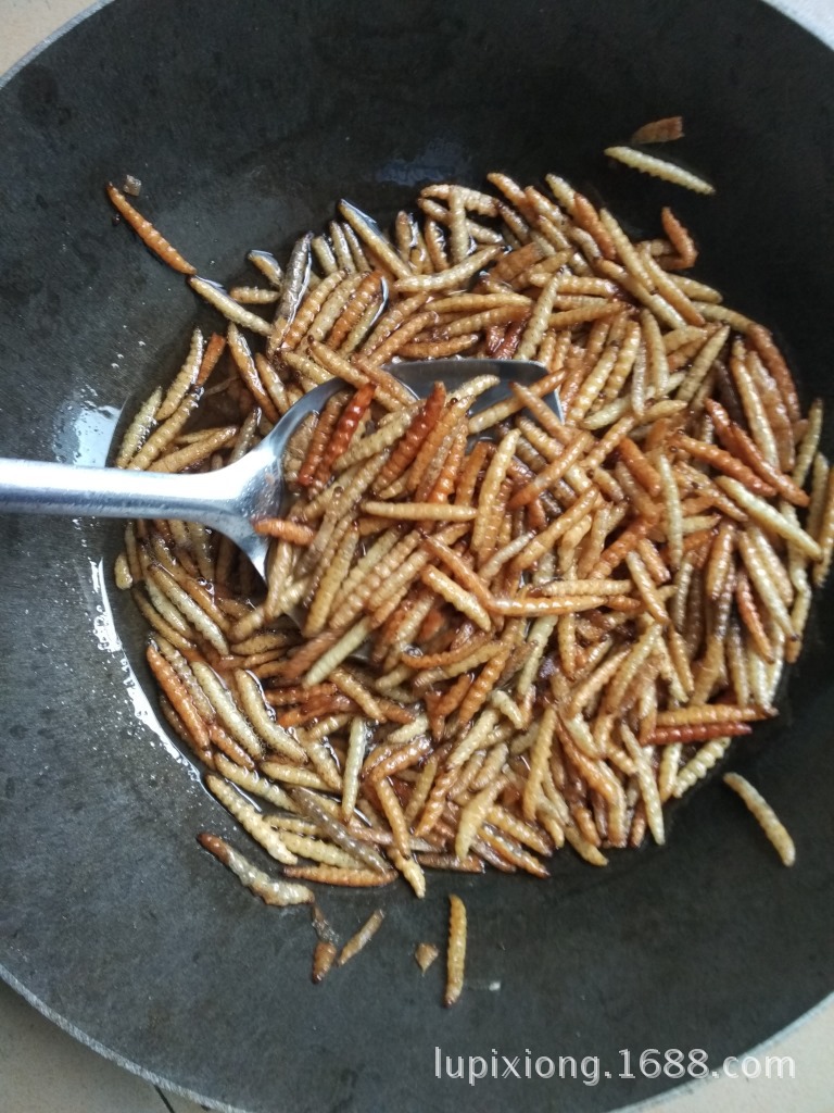 长期批发 竹虫 竹蜂 竹蛆 笋蛆 冷冻竹香虫 竹象虫 昆明银梨冷库