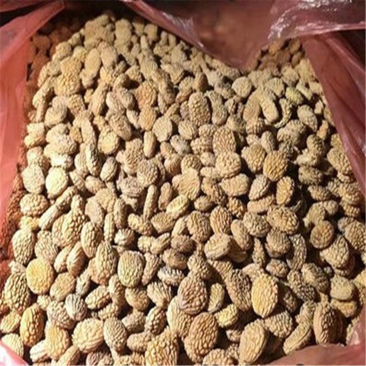 金蝉子种子扁桃木扁担胡子种子佛珠扁核木手串黄花梨金刚木籽菩提