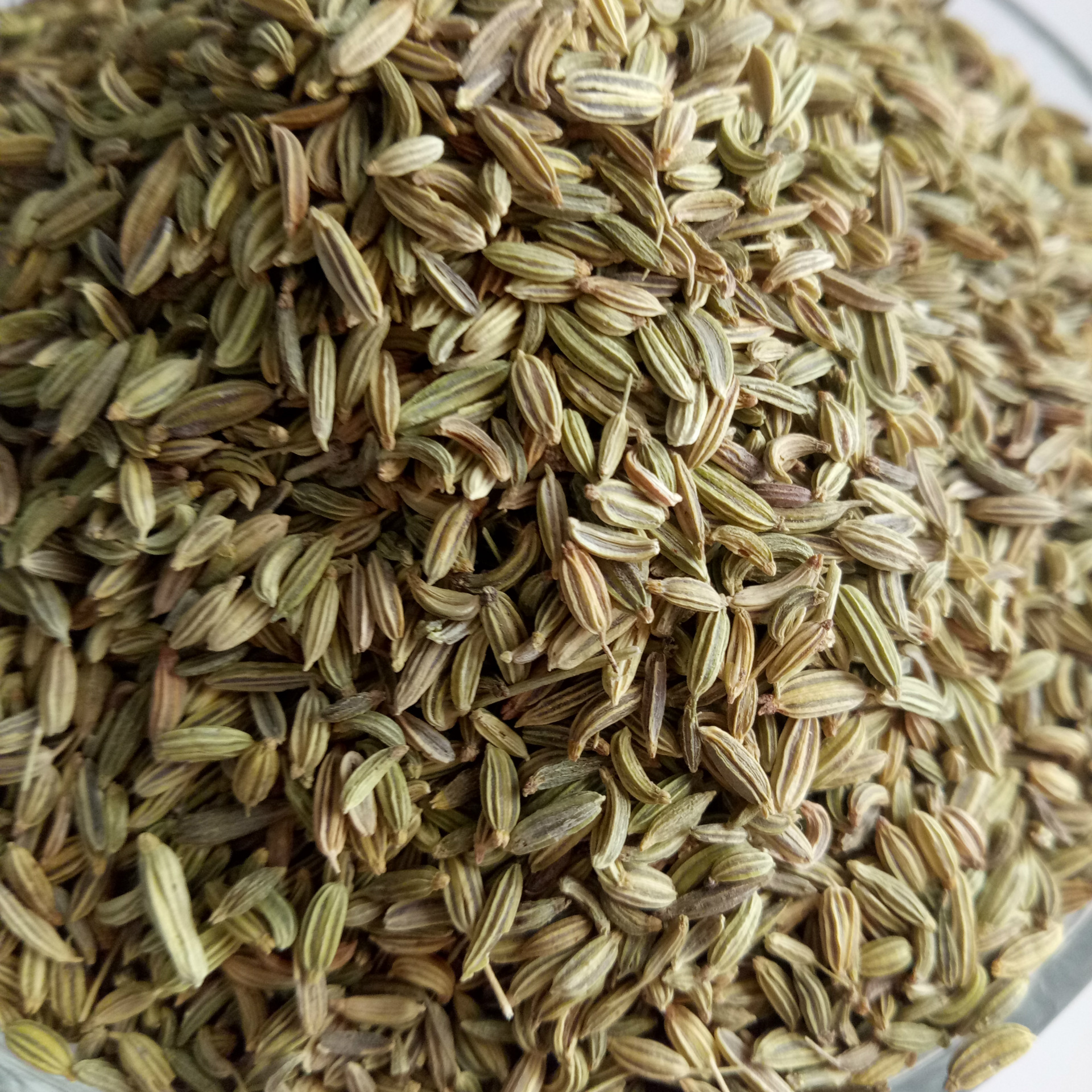 批发中药材 小茴香 各种小茴香香料 大货直销