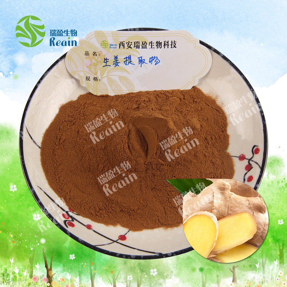 生姜提取物5% 姜辣素 1kg包装 品质保证 西安瑞盈 现货包邮