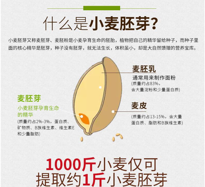 小麦胚芽提取物 10:1 植物萃取原料