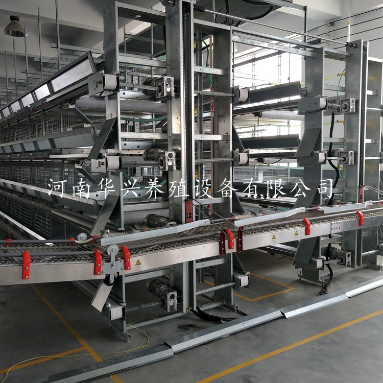 王鸽的个人主页-阿里巴巴1688.com