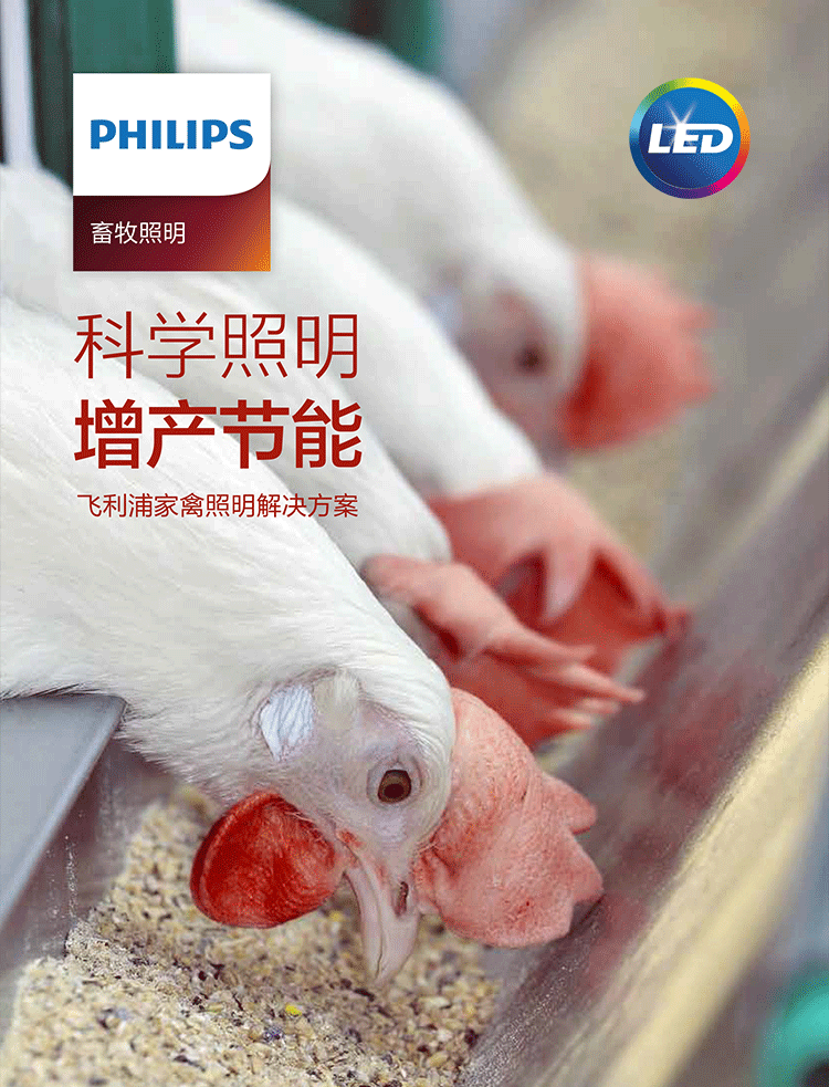家禽照明_01