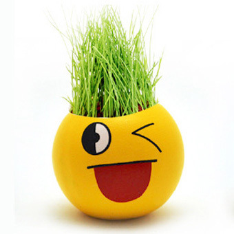 笑脸草娃娃 长草头娃娃迷你植物6.1儿童节创意实用小礼品批发地推