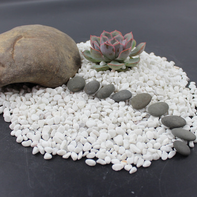 white pebble 盆栽盆景配衫白石子 出口园林鹅卵石 景观砾石