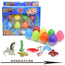 新奇泡水膨胀孵化蛋海洋动物膨胀玩具盲盒复活蛋儿童玩具也是地摊