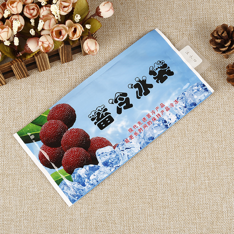 现货杨梅保鲜冷藏包食品水果水产海鲜注水迷你冰包袋定做可加logo
