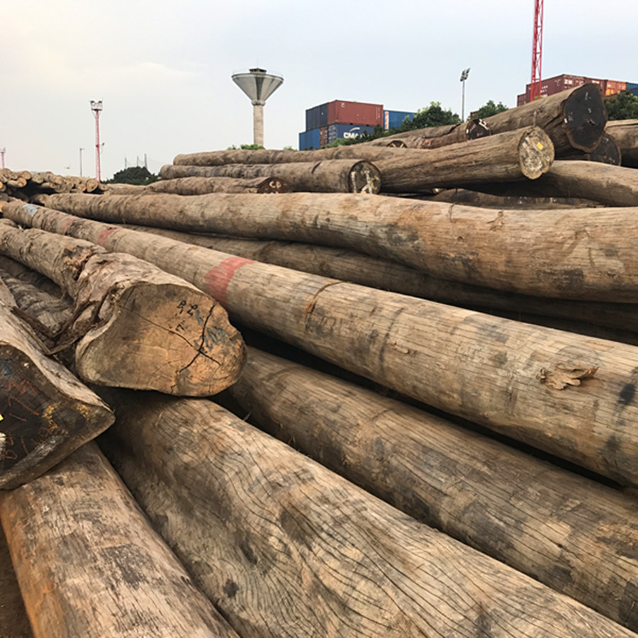 现货供应进口原木 山樟木原木 红木 防腐木原木 唐木 柳桉木