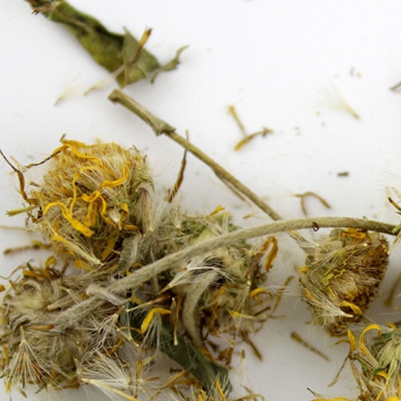 旋覆花 旋复花 金佛花 金佛草六月菊500克初级农产品