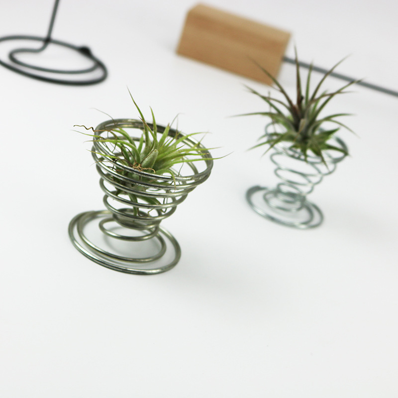 正旗直供 花卉空气凤梨弹簧底座支架 桌面无土植物盆栽摆件花架托