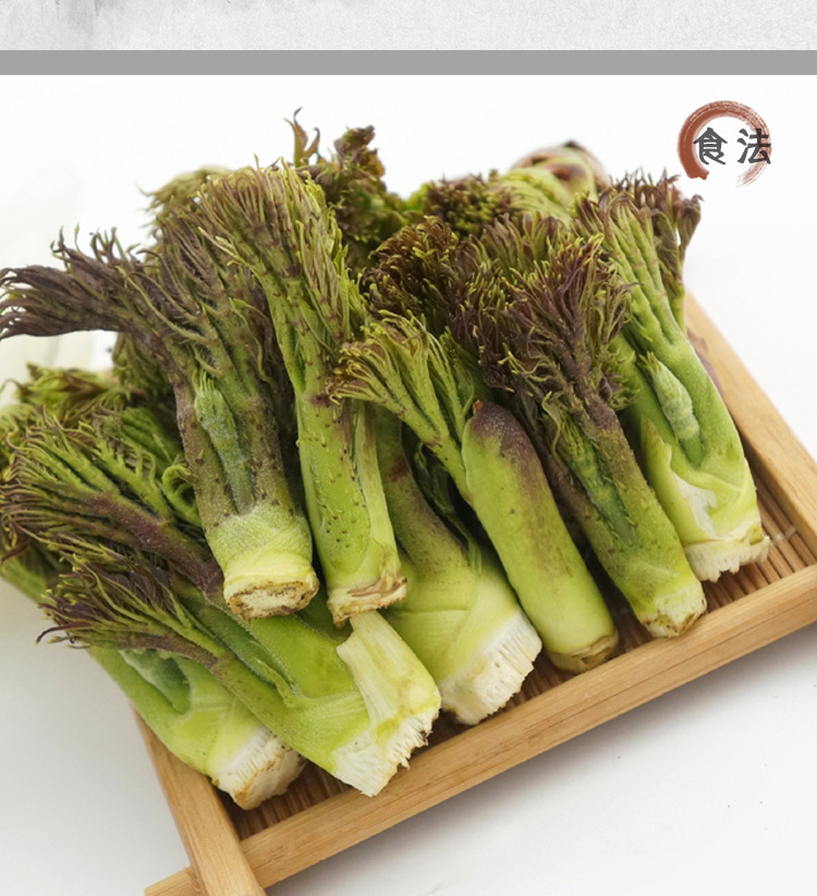 刺老苞刺嫩芽树头菜刺苞菜老虎刺山野菜山珍