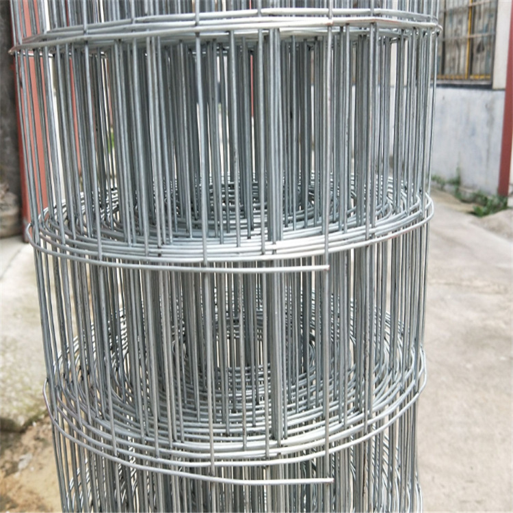 现货供应不锈钢电焊网不锈钢电焊网片304方眼拦鱼网316电焊网