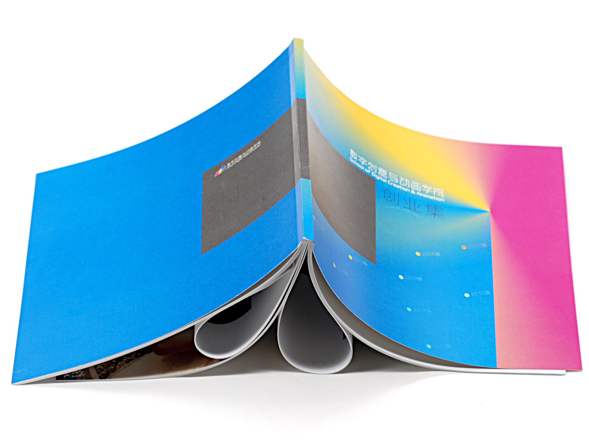 厂家直销 深圳画册印刷定做 画册印刷 说明书宣传册精装书折页