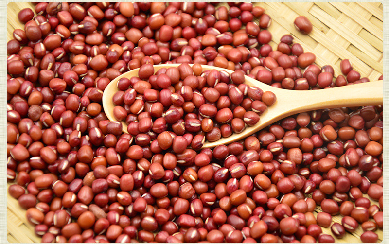 大额批发杂粮农家红小豆红豆珍珠红小豆25kg大包