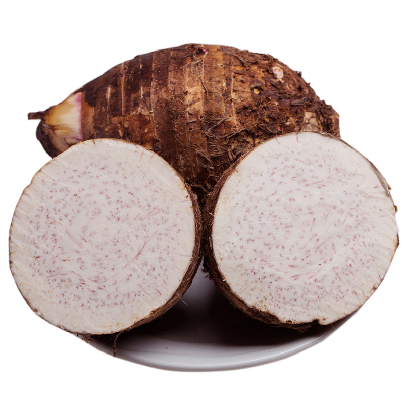 【a级5斤】广西名优特产 新鲜荔浦芋头 上品香芋大量批发一件代发