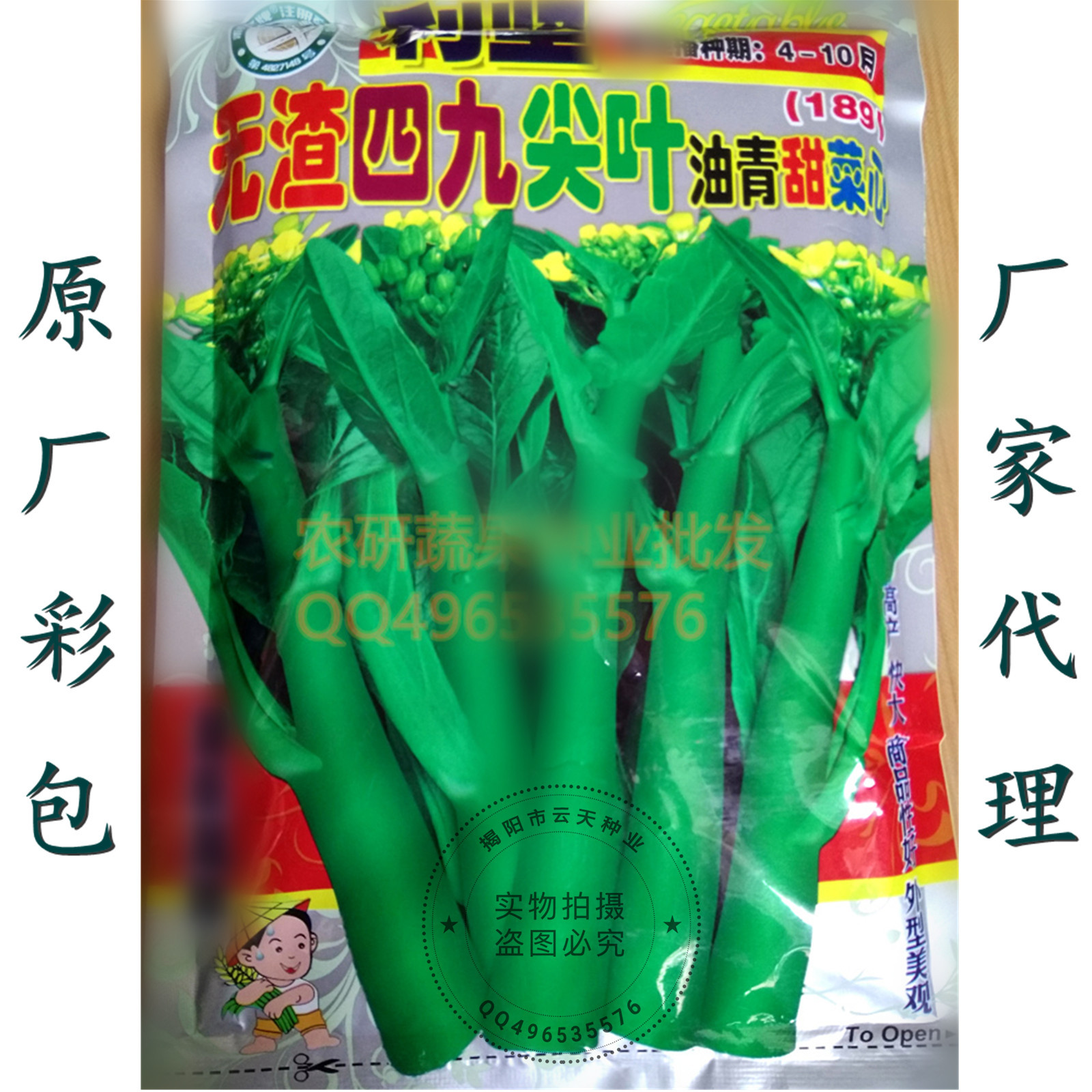蔬菜种子批发 无渣四九尖叶菜心种子 油青甜菜心 400克大田用种