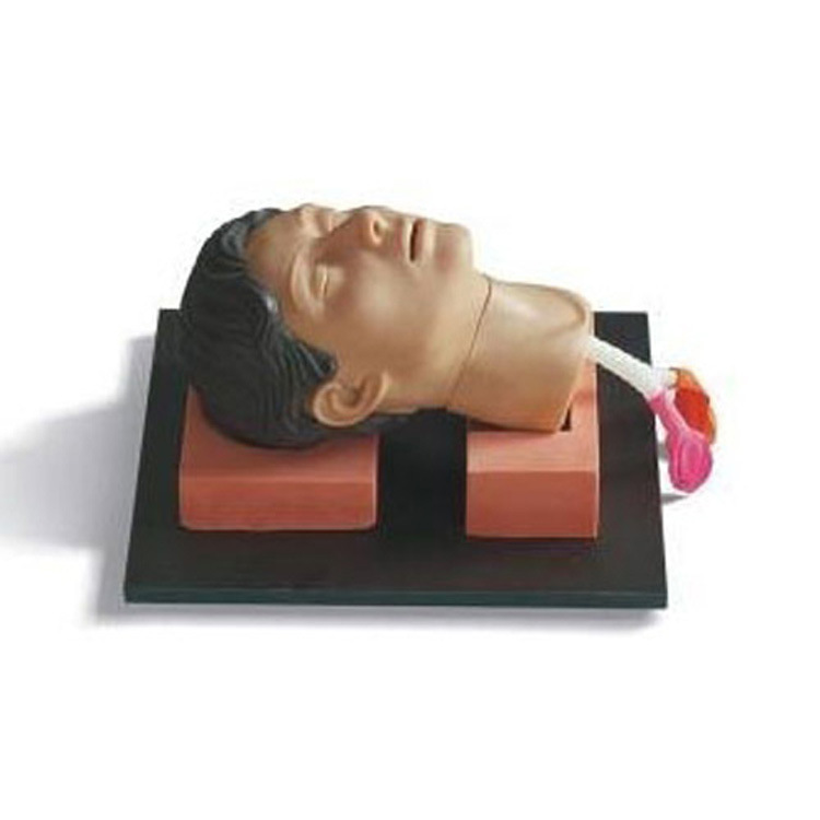 供应环甲膜穿刺和切开训练模型环甲膜穿刺模型环甲膜切开训练模型