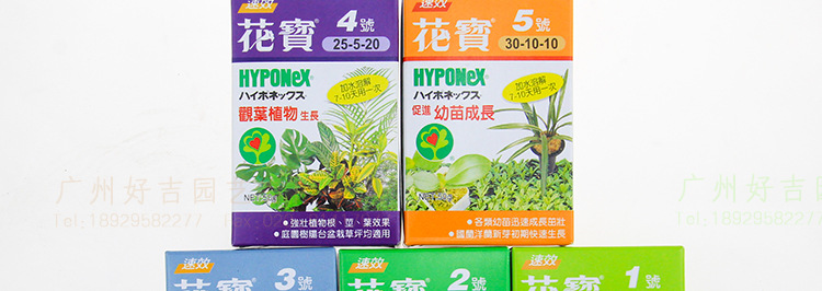 美国花宝15号5盒包邮