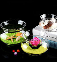 花边鱼缸透明玻璃花盆绿萝水培圆形花边玻璃乌龟缸小鱼缸客厅摆件