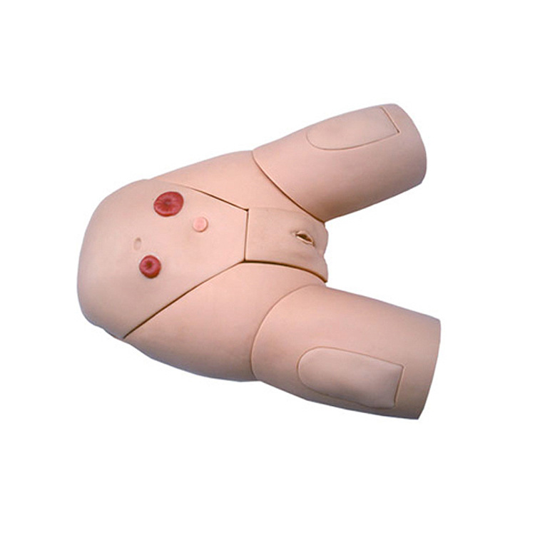 供应高级整体女性导尿模型 医学教学导尿模型带肌肉注射练习模型