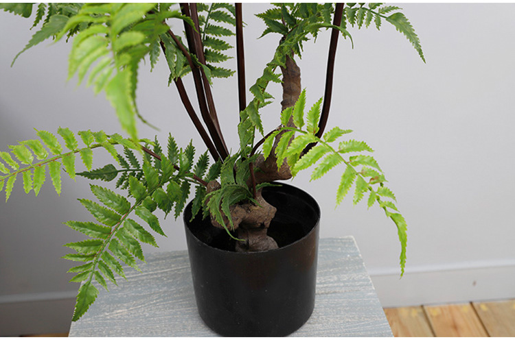 马尾蕨树室内盆栽 落地蕨类原始森系盆景 高档仿真小树盆景