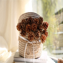 本色插枝松果 带杆松果 插杆松塔手工制作插花 家居花瓶装饰摆件