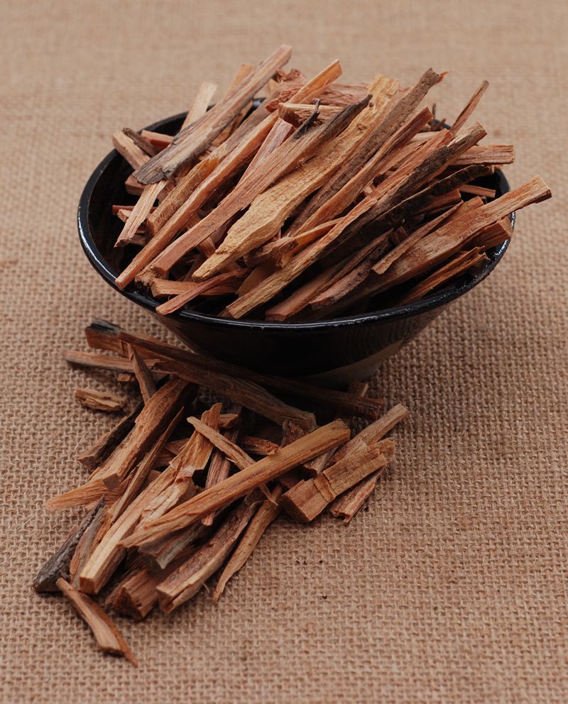 松节中药材 松郎头大货 批发松节 药都亳州全聚药材站全有