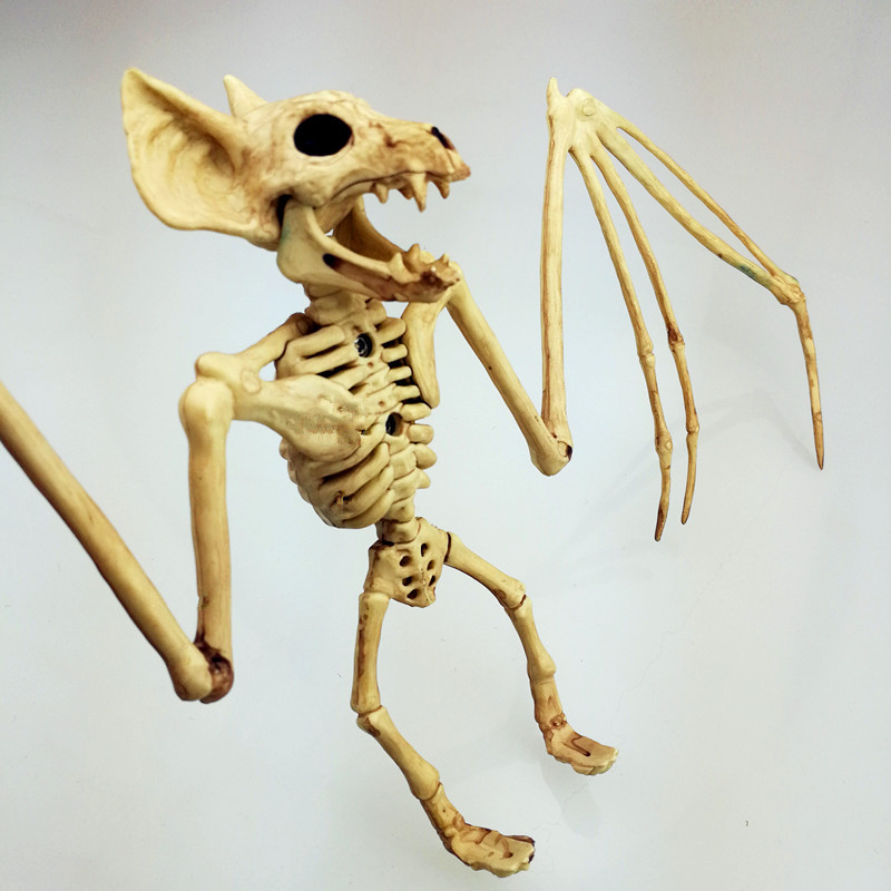 巨型蝙蝠王骨骼图片