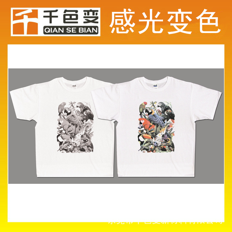 Birds-T-shirt_副本