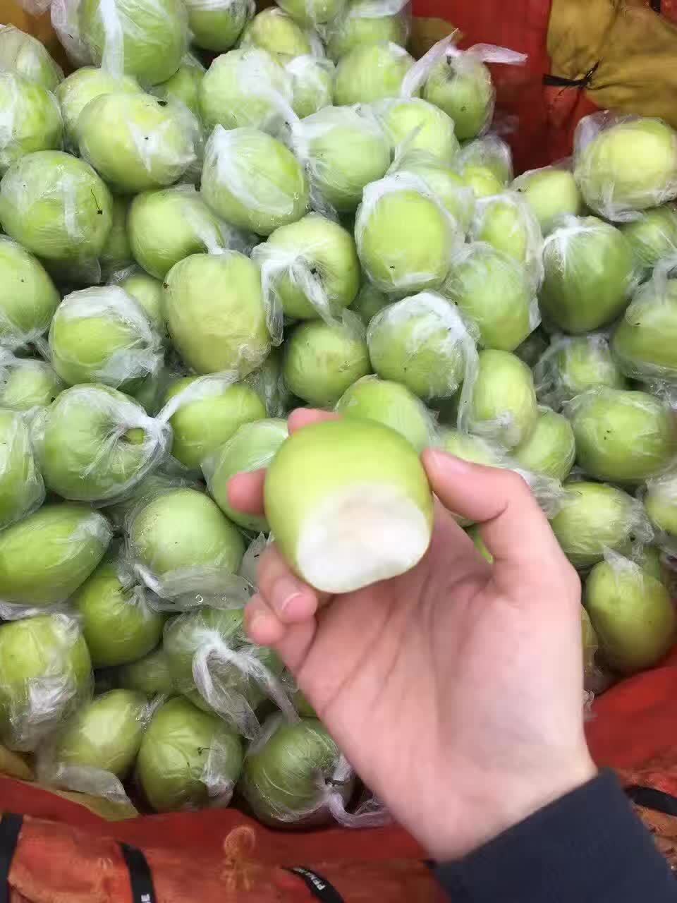 台湾牛奶枣脆蜜枣新鲜水果一件代发新鲜贵妃蜜枣脆5斤顺丰包邮