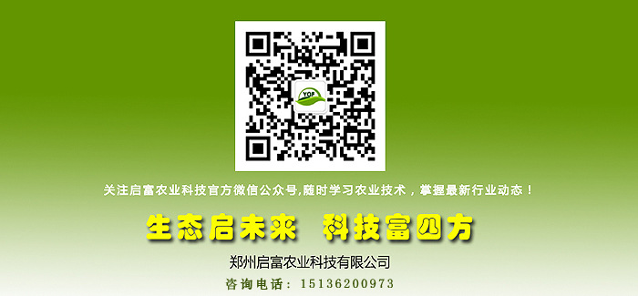 ��ֳ�����ͼ�����