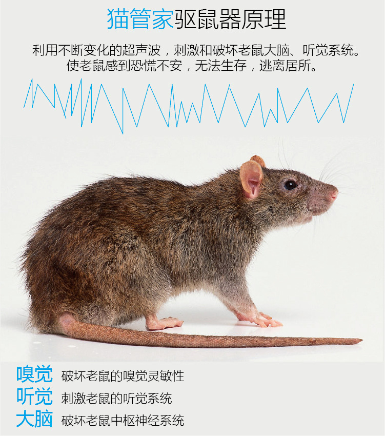 汽车驱鼠器发动机舱防鼠器超声波防鼠猫管家驱鼠包厂家直销