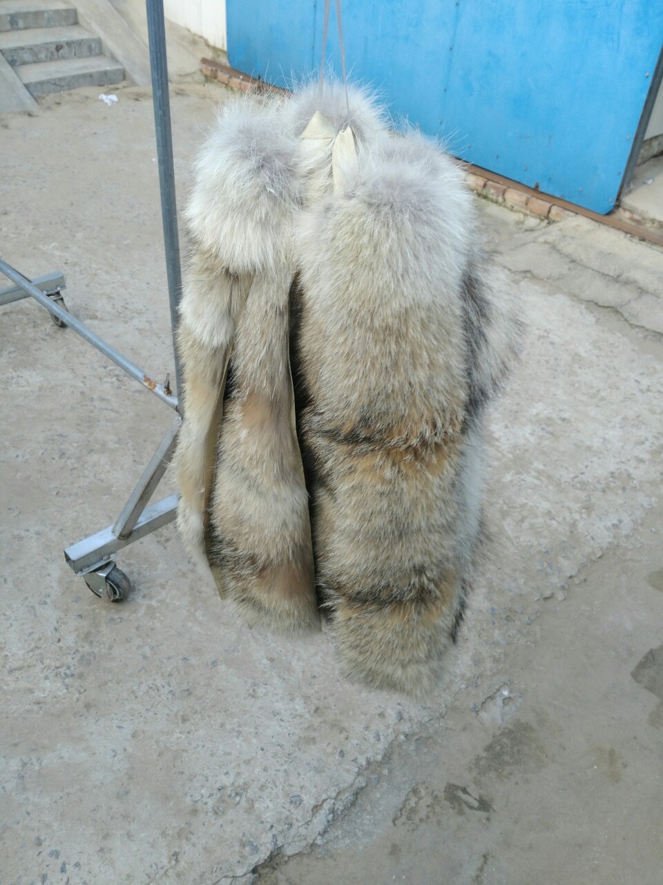 厂家直销仿狼毛毛领大鹅羽绒服狼毛毛领进口郊狼毛领 青狼毛领子