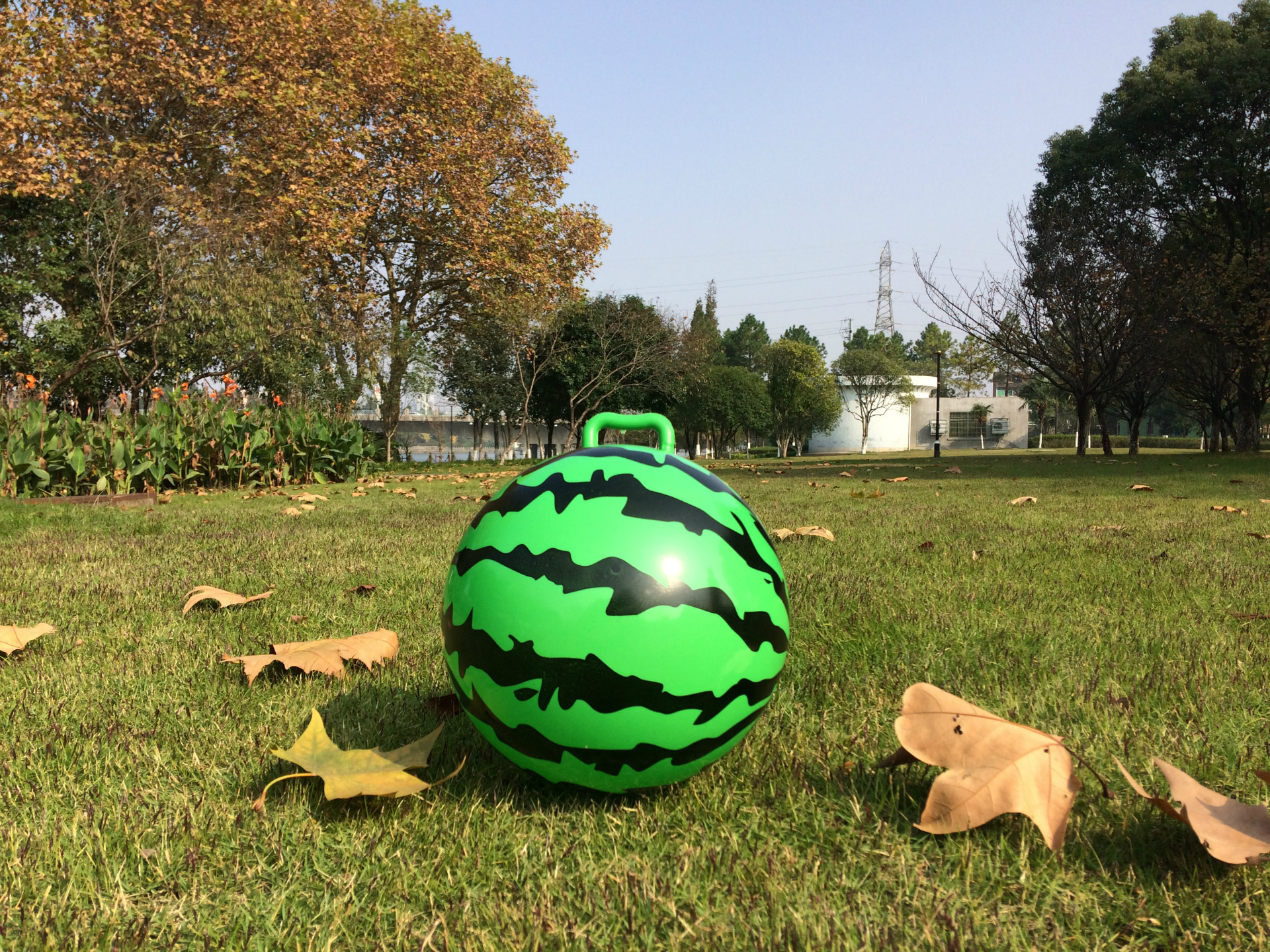 厂家直销22公分西瓜手柄球加厚环保 羊角球 儿童充气玩具 拍拍球